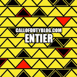 black-ops-3-weapon-camo-entier